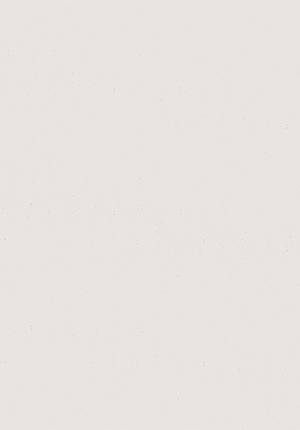 Chamomile Pro 737Z 300px